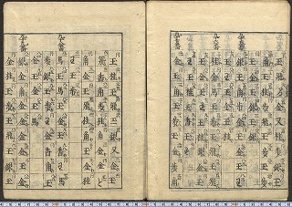 画像No100