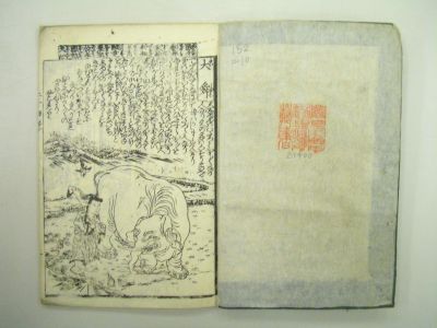 画像No2