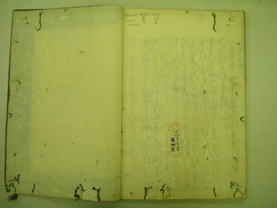 画像No6